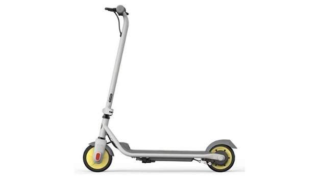 Slika Segway Zing C8